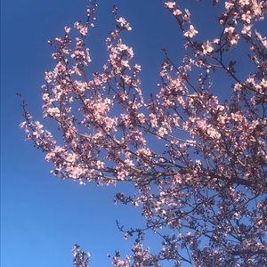 Meet your Posher, Terri